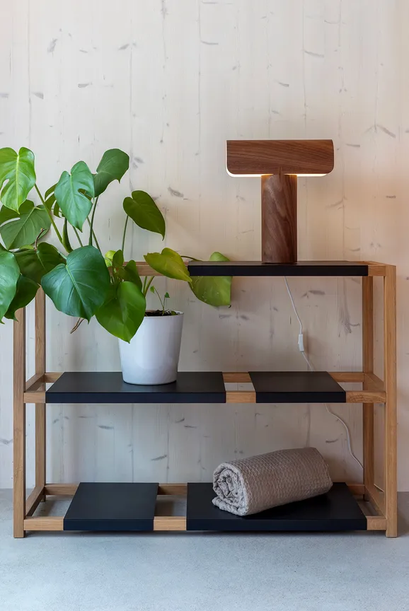 Étagère en bois avec lampe sculpturale et plante verte